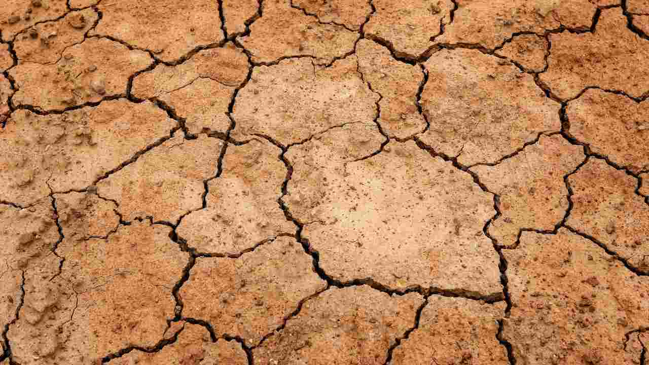 Siccità: in Puglia si corre ai ripari