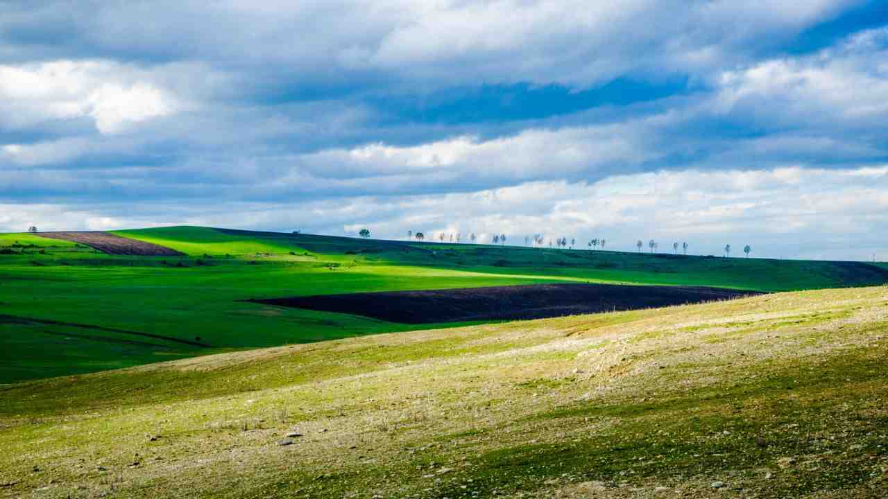 affitto terreno condizioni