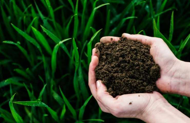 Terreno preparazione metodo