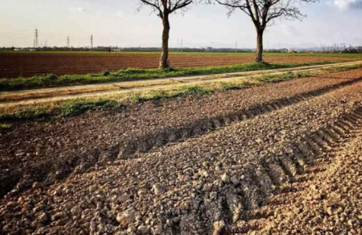 poca acqua risparmio agricoltura sensori