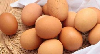 Fai bollire le uova inserendo questo frutto: il segreto che lascia stupiti tutti