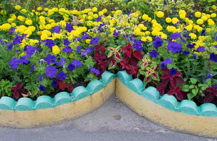 aiuola giardino in cemento vantaggi