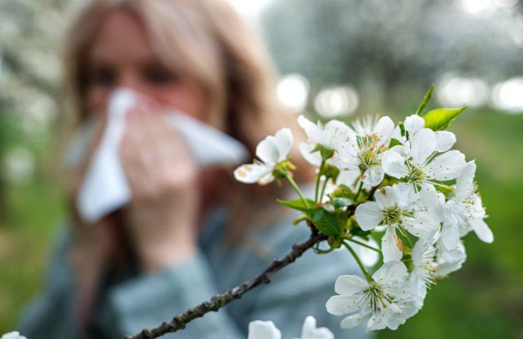 cambiamenti climatici sviluppo allergie