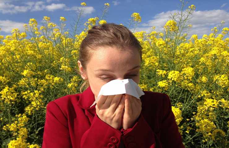 allergia casa polline