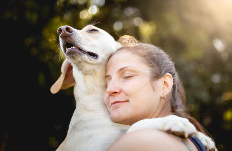 come dire addio al cane