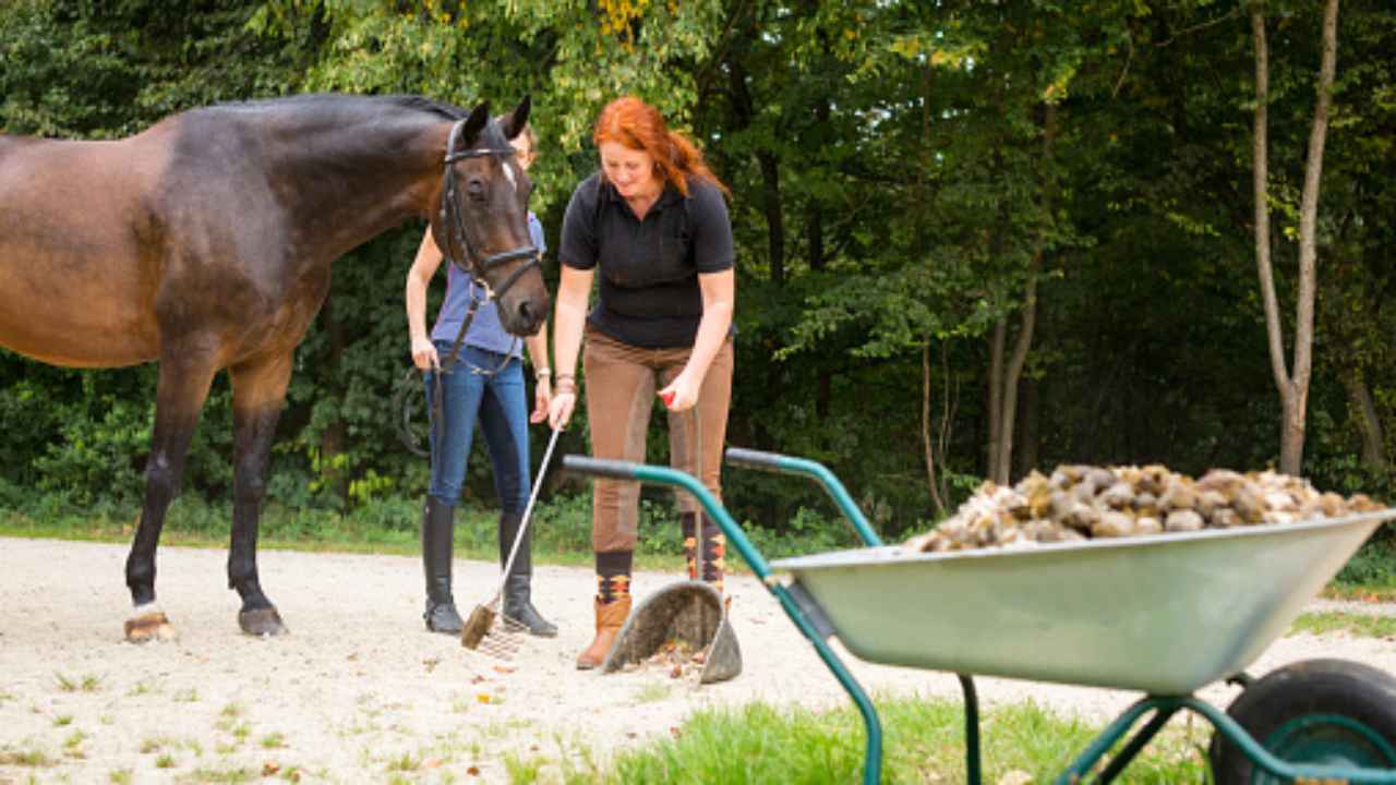 letame cavallo in agricoltura