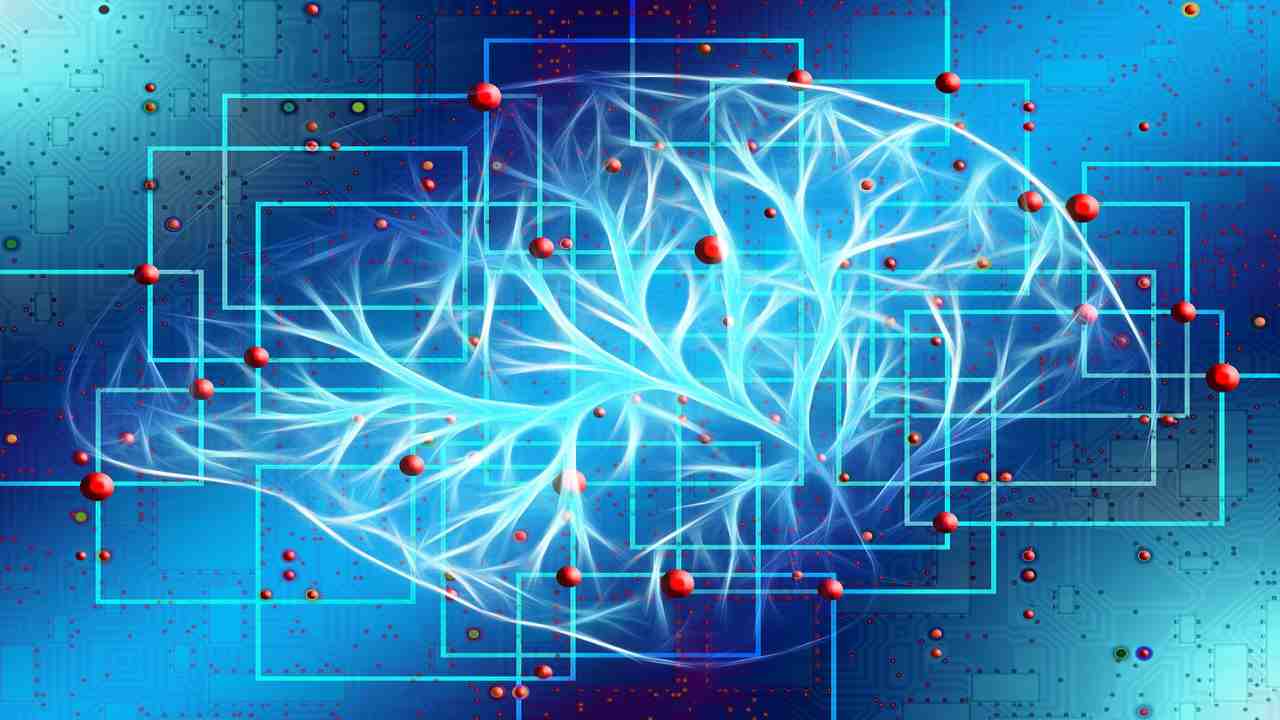cervello mappa neuroni