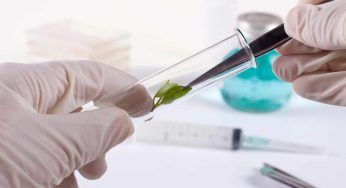 1997, l’Europa si proclama contro la clonazione umana