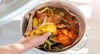 Cibo, non sprecare e risparmia: bastano ferro da stiro e carta igienica