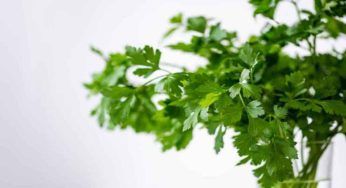 Pancia piatta con poca difficoltà: può aiutarti questa antica spezia