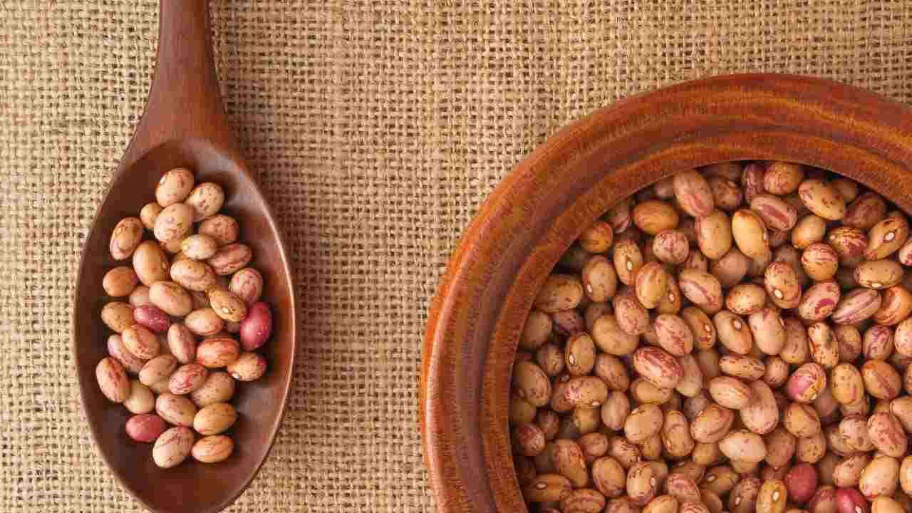 fagioli borlotti coltivarli come guida