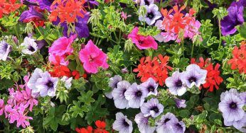 Primavera, costruisci una ghirlanda fai da te