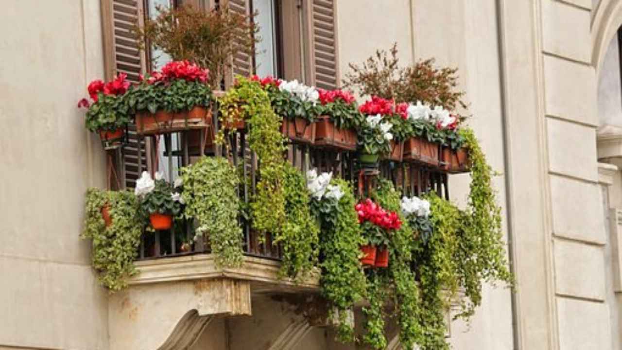 fioriere da esterno balcone tipologia