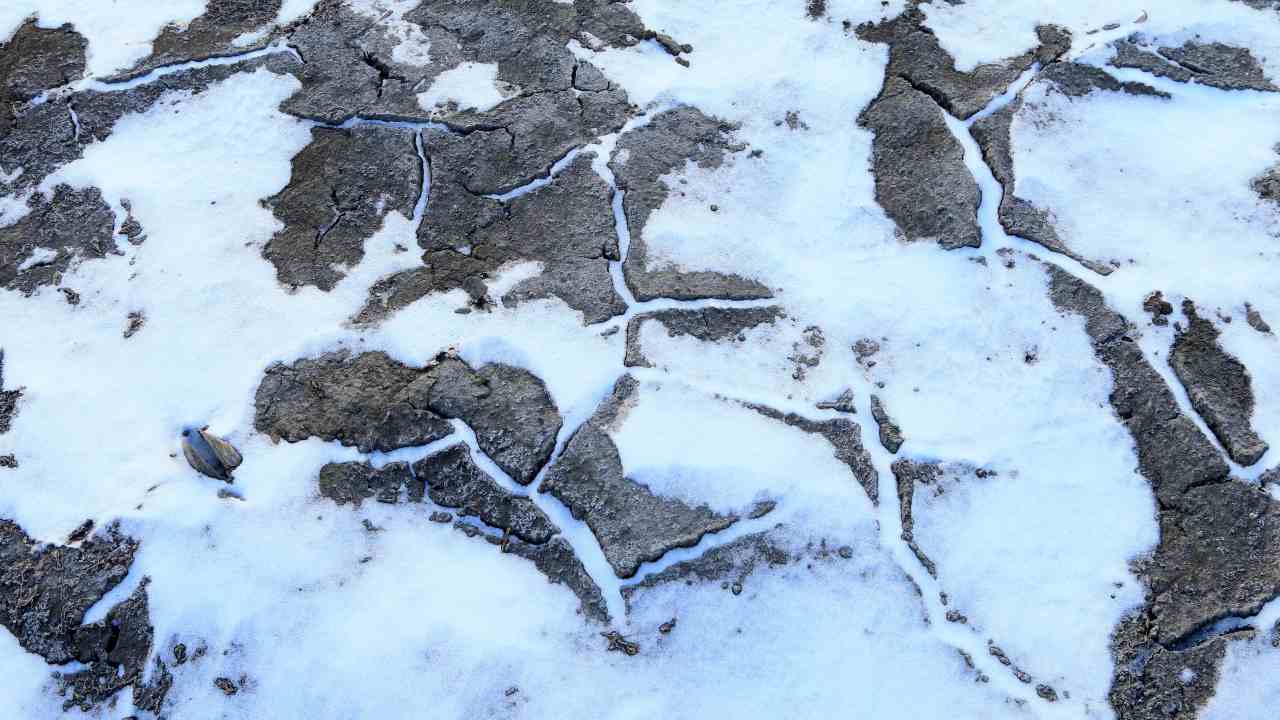 virus zombie risvegliato in Siberia