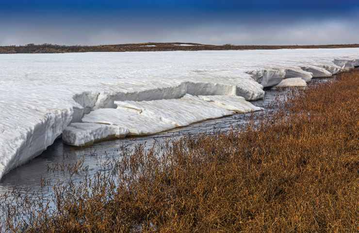 virus zombie risvegliato in Siberia