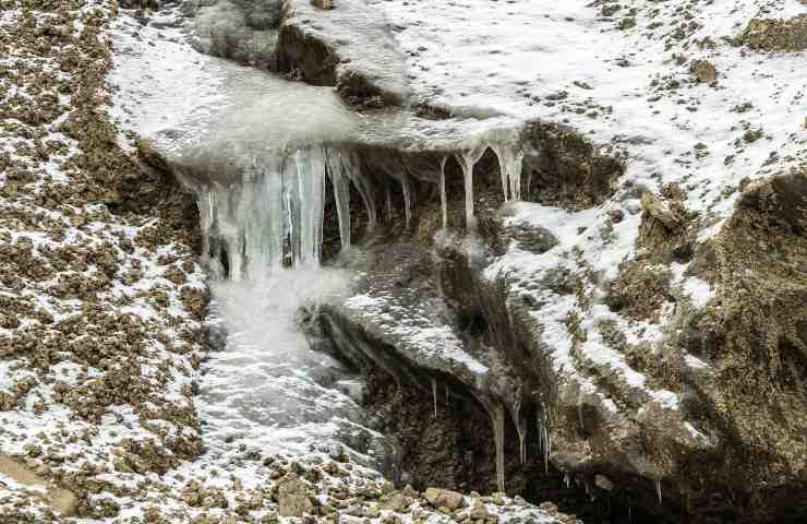 virus zombie risvegliato in Siberia