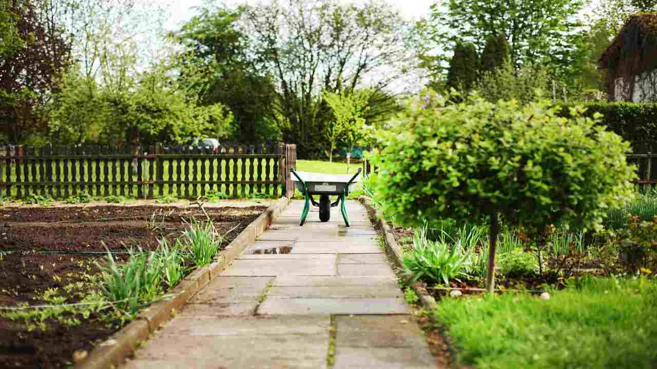 Giardino pianificazione orto