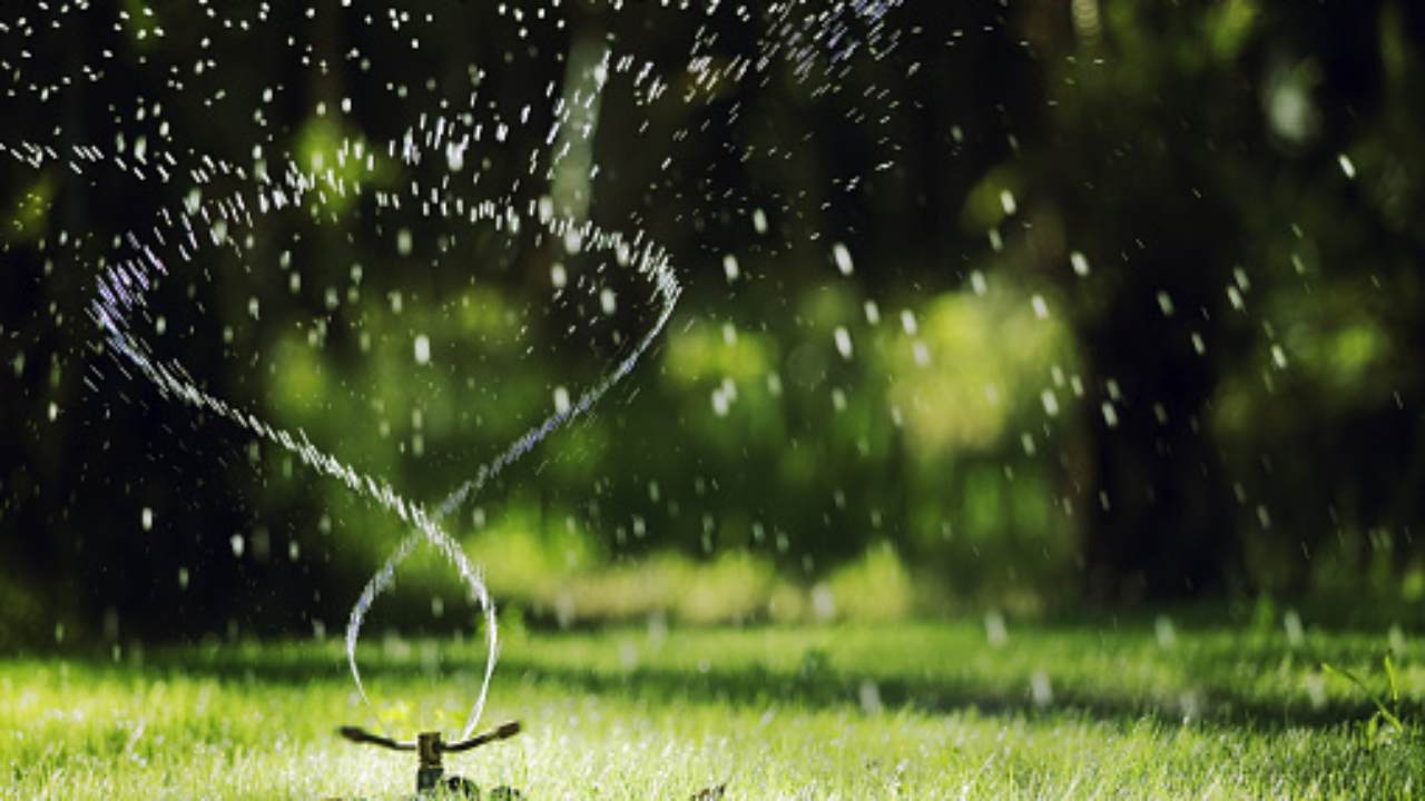 evitare di sprecare acqua giardino