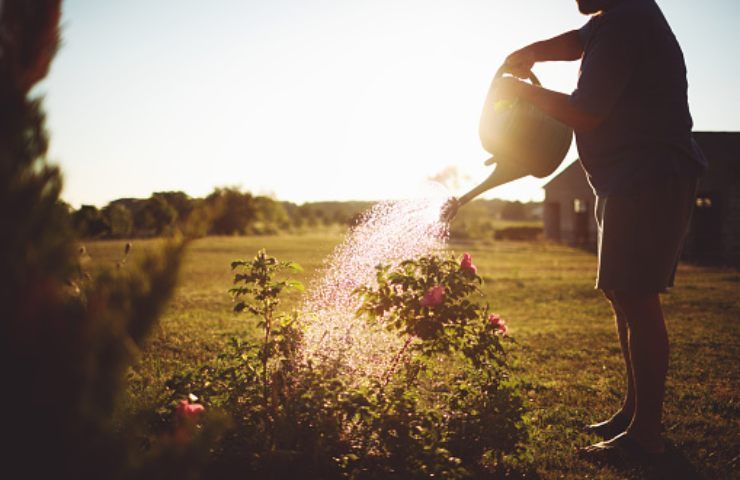 evitare di sprecare acqua giardino