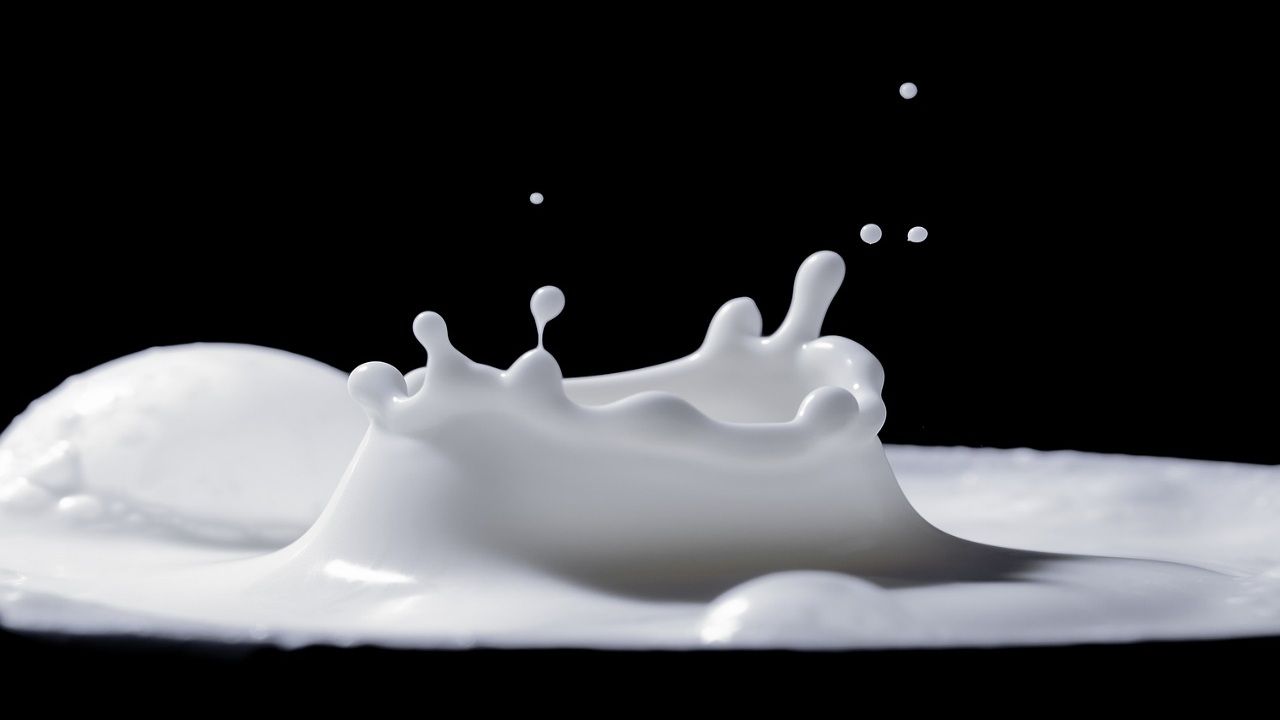 latte sintetico sostenibilità