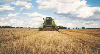 Bonus agricoltura: 100% la percentuale che spetta ai richiedenti