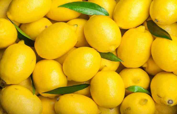 limoni gialli agrumi