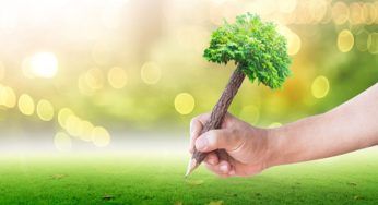 Matite, in giardino potrebbero essere indispensabili: gli effetti sulle piante