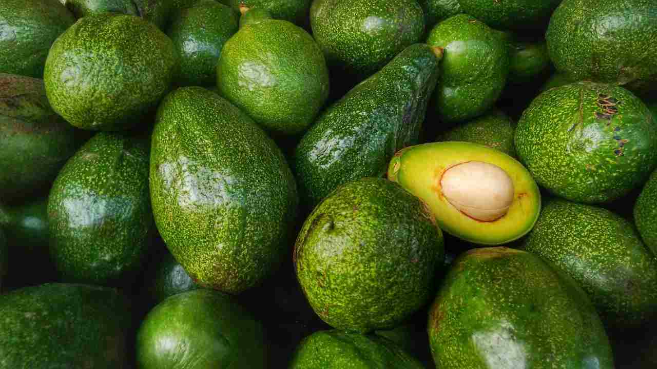 piantare avocado trucco