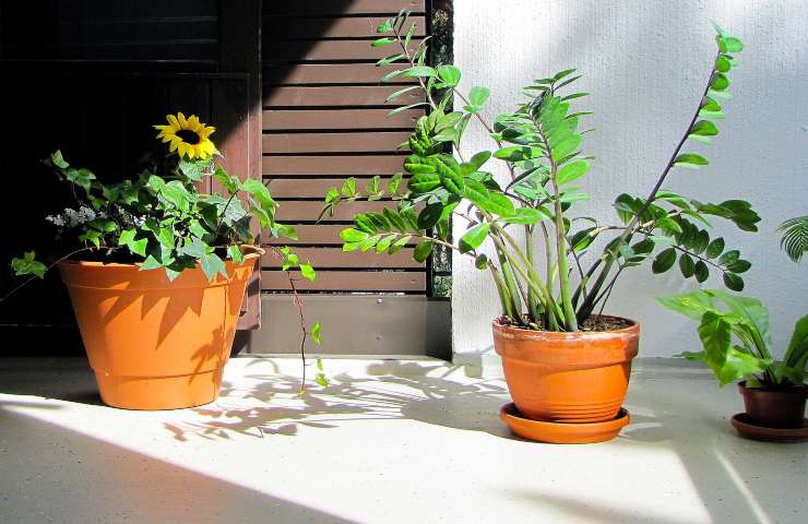 Innaffiare piante balcone