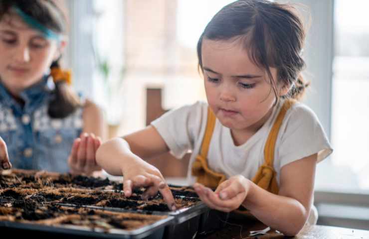 piante sicure metodo montessori