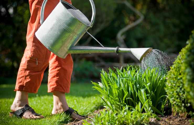 usi acqua piovana giardino