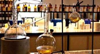 Fragranze sempre più care: perchè aumentano i prezzi dei profumi (e c’entra il cambiamento climatico)