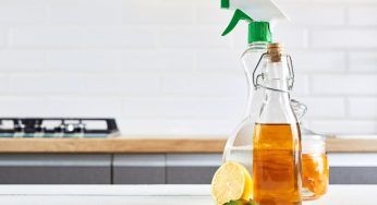 Arriva la primavera e con lei le pulizie in casa: questi i prodotti naturali da utilizzare