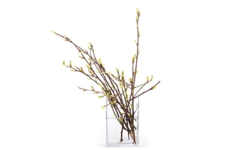 creare albero di pasqua