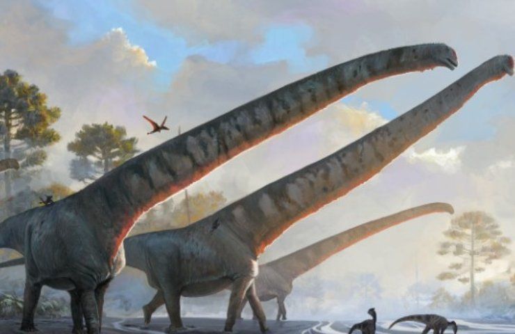 Collo lungo dinosauro 