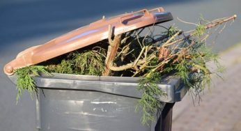 Liguria, gli sfalci verdi non più rifiuti speciali ma potranno produrre energia