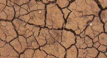 Veneto, preoccupazione siccità e pozzi abusivi: sono da evitare