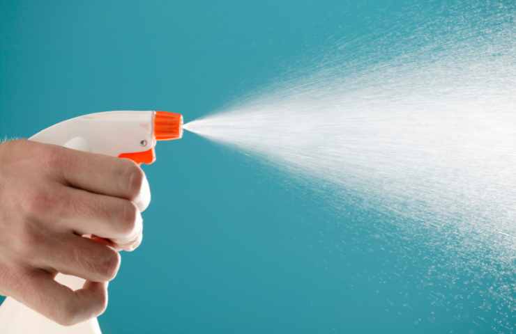 spray antiparassitario naturale