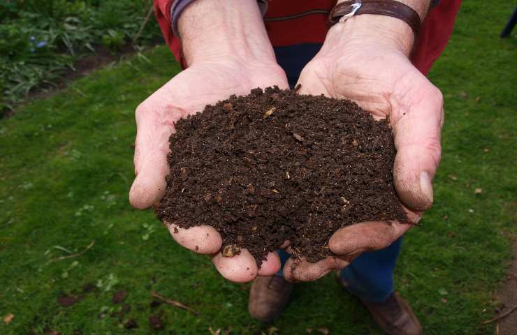 compostiera domestica terra