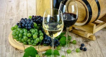 Quando è nato il vino: una ricerca svela da quanto tempo esiste, nessun dubbio