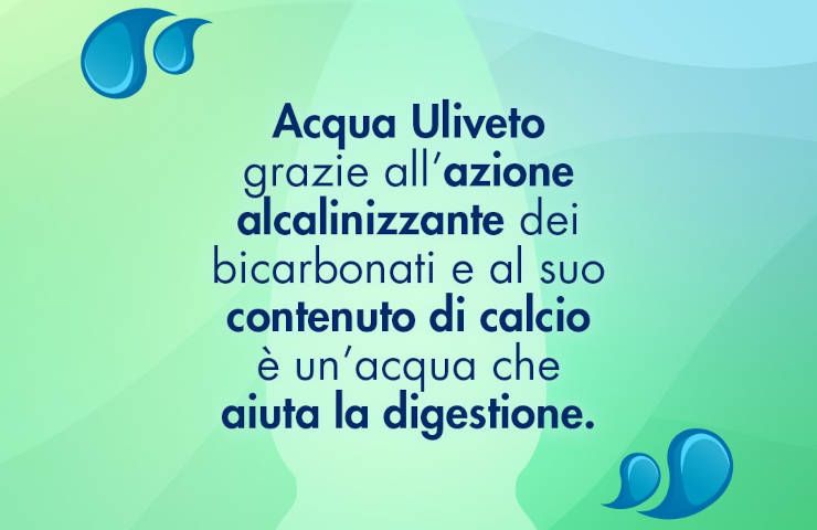 Uliveto Terme parco termale acqua famosa borgo Vicopisano