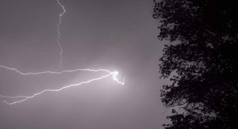 Albero colpito da un fulmine: creato un nuovo minerale