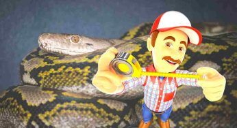 È il serpente più lungo al mondo (quasi 10 m): dove e quando è stato trovato