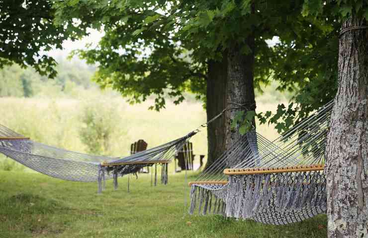 Amaca giardino 