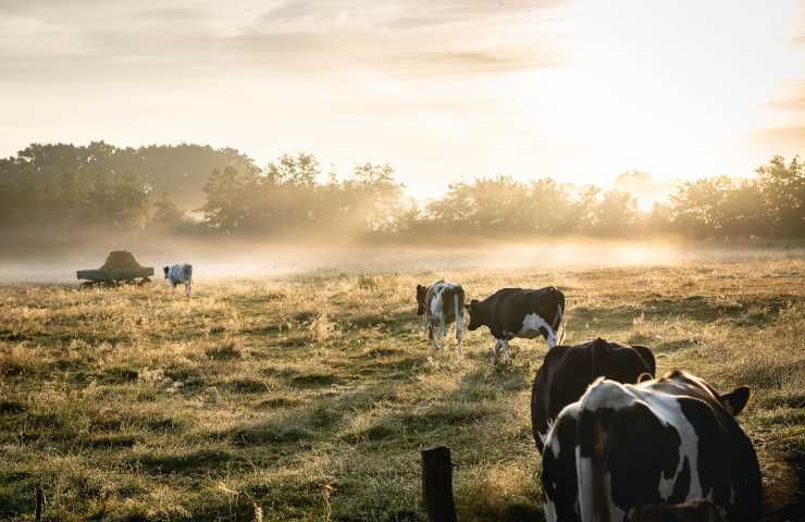 Effetti metano riscaldamento globale ricerca università California