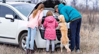 Incastrata in un motore per molti Km: un miracolo ha salvato la cucciola – VIDEO