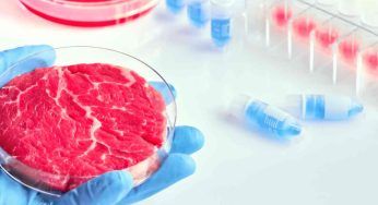 Cibi sintetici, arriva il parere della Conferenza delle Regioni