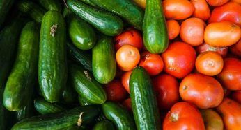 Cetrioli: riducono l’appetito grazie al contenuto di fibre