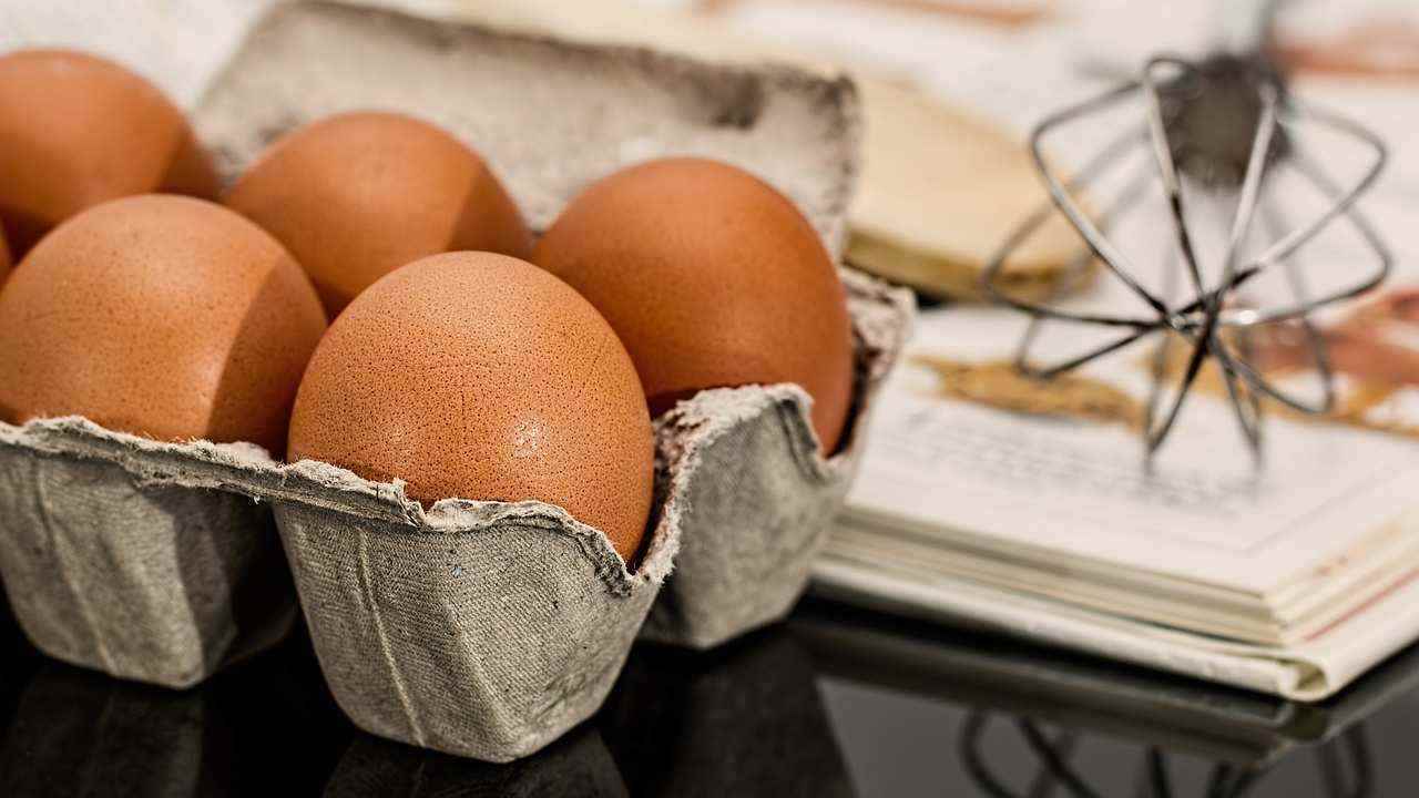 Confezione uova uso giardino 