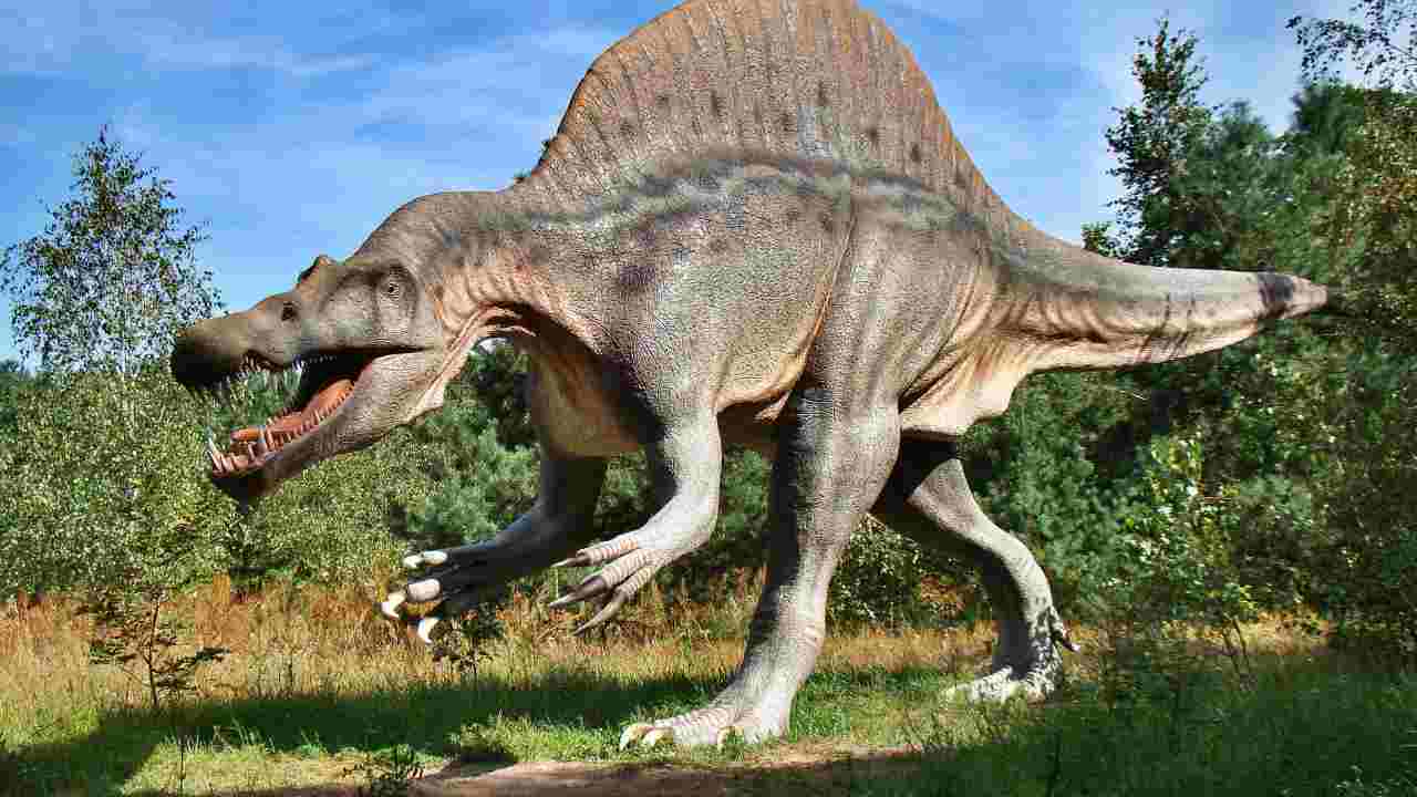 Dinosauro: trovata un'impronta sotto un tavolo